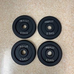 IROTEC アイアンプレート 2.5kg 4枚セット
の画像