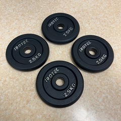 IROTEC アイアンプレート 2.5kg 4枚セット
の画像