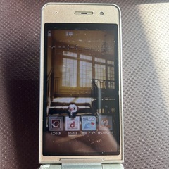 NTT docomo P-01E シルバーの画像