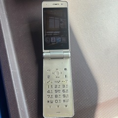 NTT docomo P-01E シルバーの画像