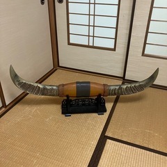 水牛の角の画像