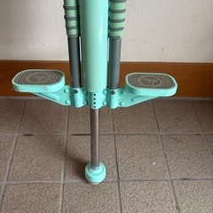 マスターポゴスティック フライバーの画像