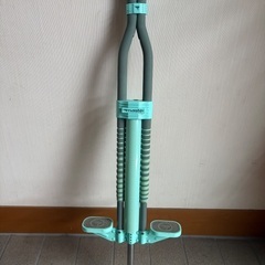 マスターポゴスティック フライバーの画像