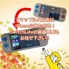 Nintendo Switch、SwitchLite共に修…