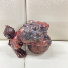 手乗りサイズシーザーの画像