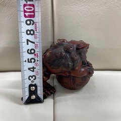 手乗りサイズシーザーの画像