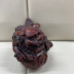 手乗りサイズシーザーの画像