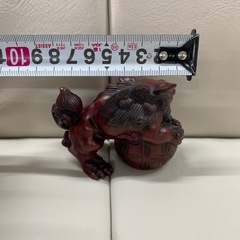 手乗りサイズシーザーの画像