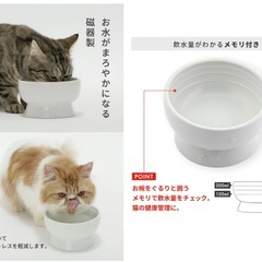 ２つセット！！ 猫　猫壱お水　お皿の画像