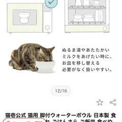 ２つセット！！ 猫　猫壱お水　お皿の画像