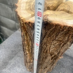 天然木　スウェーデントーチ　キャンプ　薪木　アウトドア　　　　　の画像