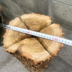 天然木　スウェーデントーチ　キャンプ　薪木　アウトドア　　　　　の画像