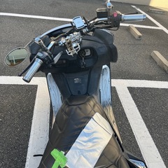 セル1発マグザム250.の画像