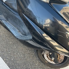 セル1発マグザム250.の画像