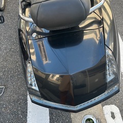 セル1発マグザム250.の画像