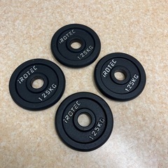 IROTEC アイアンプレート 1.25kg 4枚 セットの画像