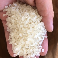 R7新米　30kg 玄米の画像