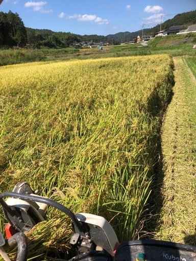R7新米　30kg 玄米