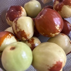 赤褐色棗の実　の画像