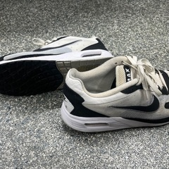 Nike Air Max SC‼️（DX3666-100）の画像