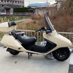 フュージョン最終モデル　　　の画像