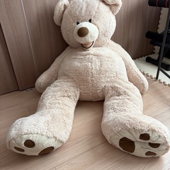 ぬいぐるみ　クマ　コストコ　親子セット　　の画像