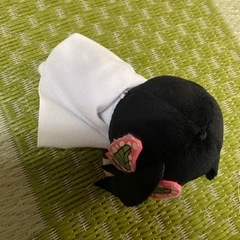 鬼滅の刃　カナヲの画像