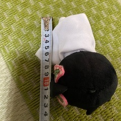 鬼滅の刃　カナヲの画像