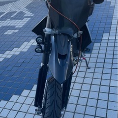 250SBの画像