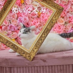 羊毛フェルト　ぬいぐるみ教室の画像