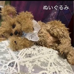 羊毛フェルト　ぬいぐるみ教室の画像