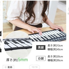 ロールピアノ ロールアップピアノ 49鍵盤 電子ピアノの画像