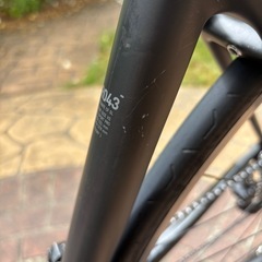 Canyon ultimate CF SLの画像