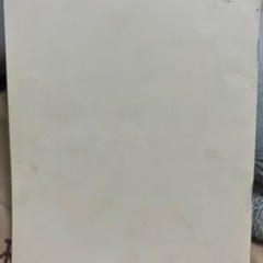 フェラデイーZ.取扱説明書の画像