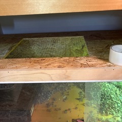 爬虫類ケージ　幅140奥行き51.5高さ42.5の画像