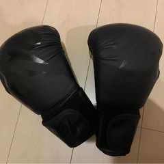キックボクシングセット　初心者の方ぜひ！　の画像
