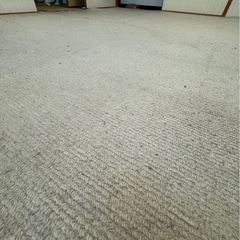 絨毯6畳サイズ　カーペットの画像