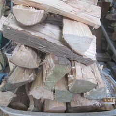 山盛り乾燥薪、太い、長さ３５ｃｍから４０ｃｍ、槇の木、一かご５００*２（限定）の画像