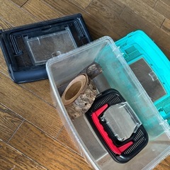 虫取り網とかごと木の画像