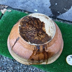 メダカ鉢  変わった陶器製　 メダカ鉢に大人気です✨の画像