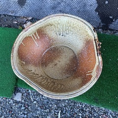 メダカ鉢  変わった陶器製　 メダカ鉢に大人気です✨の画像