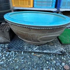 メダカ鉢  変わった陶器製　特大 メダカ鉢に大人気です✨の画像