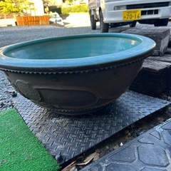メダカ鉢  変わった陶器製　特大 メダカ鉢に大人気です✨の画像