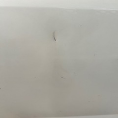 低走行距離、状態良しの画像