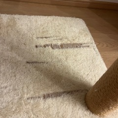 ミニキャットタワーの画像