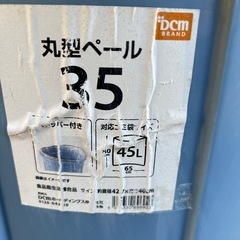 バケツ&大きなゴミ箱(メダカ飼育に)
の画像