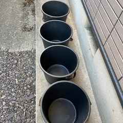 バケツ&大きなゴミ箱(メダカ飼育に)
の画像