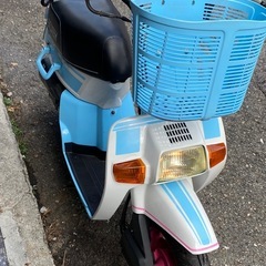 ホンダ　スカッシュ　12v､セル付き　フルレストア済みの画像