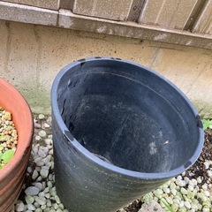 植木鉢の画像