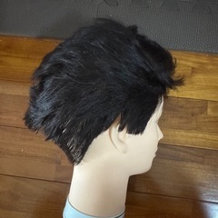カットウィッグの画像